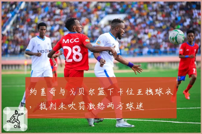 约基奇与戈贝尔篮下卡位互拽球衣,裁判未吹罚激怒两方球迷