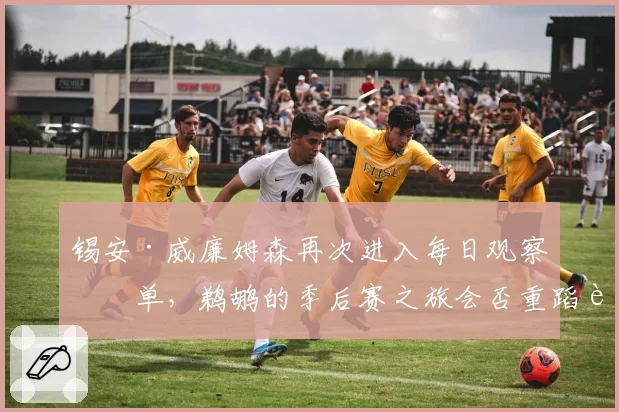 锡安·威廉姆森再次进入每日观察名单,鹈鹕的季后赛之旅会否重蹈覆辙?