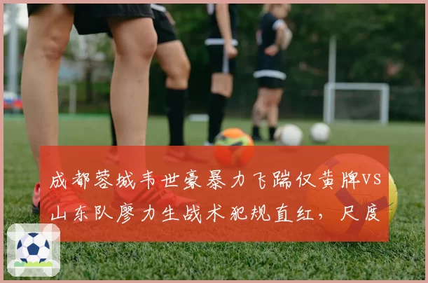 成都蓉城韦世豪暴力飞踹仅黄牌vs山东队廖力生战术犯规直红,尺度不一引骂战